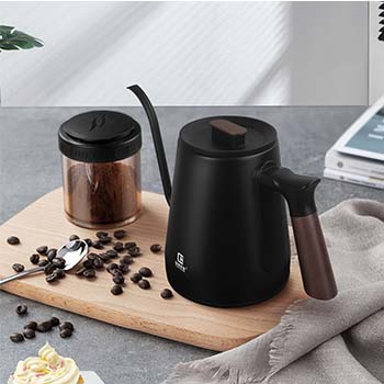 Electric Kettle With Temperature Control Gooseneck Kettle